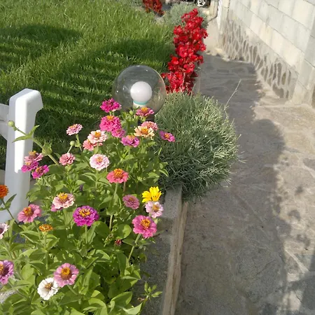 Hotel Poseidon Goudstrand