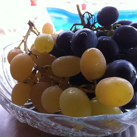 Szálloda Poseidon 2*