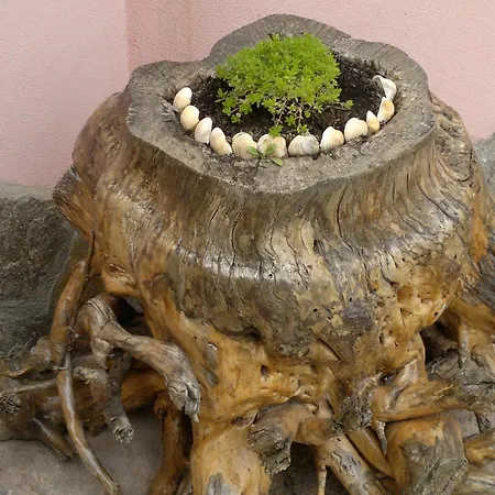 Poseidon 2* Golden Sands