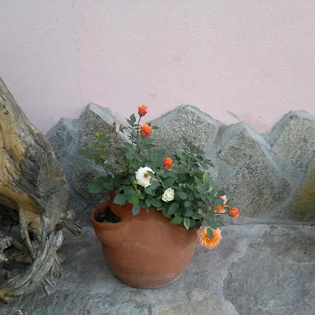 Poseidon Hotell Golden Sands