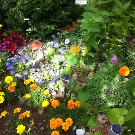 Poseidon Szálloda 2*