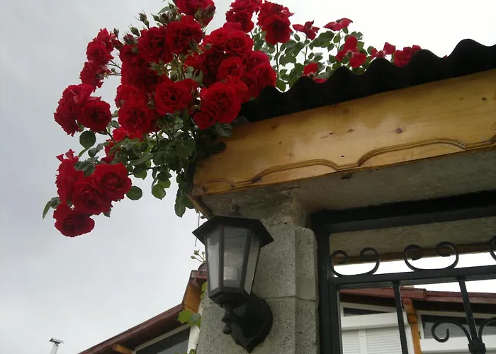 Poseidon Hotel Sables d'or