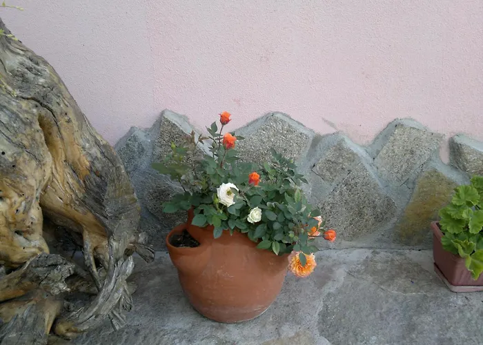 Poseidon Hotel Sables d'or